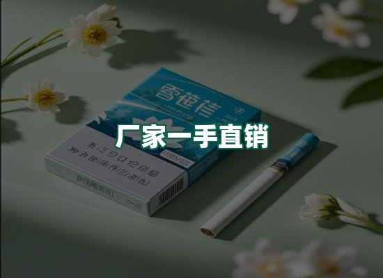 核心优势